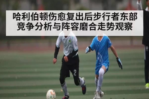 哈利伯顿伤愈复出后步行者东部竞争分析与阵容磨合走势观察（NG28）